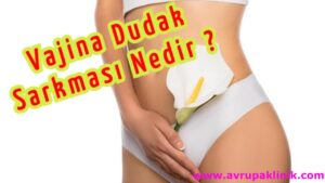 İç dudak estetiği labioplasti Kadınlar kulübü doktor takvimi doktorumsun en iyi lazerle rahim genital vajina dış iç dudak labium labioplasti labiaplasty labioplasty sarkması sarkıklığı küçültme küçültülmesi dolgusu dolgunlaştırma estetik estetiği ameliyatı lazerle şekiller çeşitleri kanama ağrı süre kanaması ağrısı süresi izi ucuz en uygun hesaplı fiyatlı fiyat fiyatı fiyatları ücret ücreti ücretleri yaptıranlar yorumlar yaptıranların yorumları kadınlar kulübü 2019 2020 2021 2022 2023 ekşi before after öncesi sonrası resim fotoğraf video izle randevu veren yapan hastane hastaneler bayan kadın doktor doktorlar klinik klinikler kliniği neden ne kadar nedir nasıl yapılır Türkiye İstanbul’da İstanbul Avrupa yakası Anadolu yakası Türkiye, Adana, Adıyaman, Afyonkarahisar, Ağrı, Aksaray, Amasya, Ankara, Antalya, Ardahan, Artvin, Aydın, Balıkesir, Bartın, Batman, Bayburt, Bilecik, Bingöl, Bitlis, Bolu, Burdur, Bursa, Çanakkale, Çankırı, Çorum, Denizli, Diyarbakır, Düzce, Edirne, Elazığ, Erzincan, Erzurum, Eskişehir, Gaziantep, Giresun, Gümüşhane, Hakkâri, Hatay, Iğdır, Isparta, İstanbul, İzmir, Kahramanmaraş, Karabük, Karaman, Kars, Kastamonu, Kayseri, Kilis, Kırıkkale, Kırklareli, Kırşehir, Kocaeli, Konya, Kütahya, Malatya, Manisa, Mardin, Mersin, Muğla, Muş, Nevşehir, Niğde, Ordu, Osmaniye, Rize, Sakarya, Samsun, Şanlıurfa, Siirt, Sinop, Sivas, Şırnak, Tekirdağ, Tokat, Trabzon, Tunceli, Uşak, Van, Yalova, Yozgat, Zonguldak, Karaman, Fethiye, Bodrum, Adalar, Arnavutköy, Ataşehir, Avcılar, Bağcılar, Bahçelievler, Bakırköy, Başakşehir, Bayrampaşa, Beşiktaş, Beykoz, Beylikdüzü, Beyoğlu, Büyükçekmece, Çatalca, Çekmeköy, Esenler, Esenyurt, Eyüp, Fatih, Gaziosmanpaşa, Güngören, Kadıköy, Kağıthane, Kartal, Küçükçekmece, Maltepe, Pendik, Sancaktepe, Sarıyer, Silivri, Sultanbeyli, Sultangazi, Şile, Şişli, Tuzla, Ümraniye, Üsküdar, Zeytinburnu, Şişli, Nişantaşı, Mecidiyeköy, Acıbadem, Gebze, Çorlu, Tarsus, Viranşehir Kadınlar kulübü doktor takvimi doktorumsun en iyi lazerle rahim genital vajina dış iç dudak labium labioplasti labiaplasty labioplasty sarkması sarkıklığı küçültme küçültülmesi dolgusu dolgunlaştırma estetik estetiği ameliyatı lazerle şekiller çeşitleri kanama ağrı süre kanaması ağrısı süresi izi ucuz en uygun hesaplı fiyatlı fiyat fiyatı fiyatları ücret ücreti ücretleri yaptıranlar yorumlar yaptıranların yorumları kadınlar kulübü 2019 2020 2021 2022 2023 ekşi before after öncesi sonrası resim fotoğraf video izle randevu veren yapan hastane hastaneler bayan kadın doktor doktorlar klinik klinikler kliniği neden ne kadar nedir nasıl yapılır Türkiye İstanbul’da, Adana, Adıyaman, Afyonkarahisar, Ağrı, Aksaray, Amasya, Ankara, Antalya, Ardahan, Artvin, Aydın, Balıkesir, Bartın, Batman, Bayburt, Bilecik, Bingöl, Bitlis, Bolu, Burdur, Bursa, Çanakkale, Çankırı, Çorum, Denizli, Diyarbakır, Düzce, Edirne, Elazığ, Erzincan, Erzurum, Eskişehir, Gaziantep, Giresun, Gümüşhane, Hakkâri, Hatay, Iğdır, Isparta, İstanbul, İzmir, Kahramanmaraş, Karabük, Karaman, Kars, Kastamonu, Kayseri, Kilis, Kırıkkale, Kırklareli, Kırşehir, Kocaeli, Konya, Kütahya, Malatya, Manisa, Mardin, Mersin, Muğla, Muş, Nevşehir, Niğde, Ordu, Osmaniye, Rize, Sakarya, Samsun, Şanlıurfa, Siirt, Sinop, Sivas, Şırnak, Tekirdağ, Tokat, Trabzon, Tunceli, Uşak, Van, Yalova, Yozgat, Zonguldak, Karaman, Fethiye, Bodrum, Adalar, Arnavutköy, Ataşehir, Avcılar, Bağcılar, Bahçelievler, Bakırköy, Başakşehir, Bayrampaşa, Beşiktaş, Beykoz, Beylikdüzü, Beyoğlu, Büyükçekmece, Çatalca, Çekmeköy, Esenler, Esenyurt, Eyüp, Fatih, Gaziosmanpaşa, Güngören, Kadıköy, Kağıthane, Kartal, Küçükçekmece, Maltepe, Pendik, Sancaktepe, Sarıyer, Silivri, Sultanbeyli, Sultangazi, Şile, Şişli, Tuzla, Ümraniye, Üsküdar, Zeytinburnu, Şişli, Nişantaşı, Mecidiyeköy, Acıbadem, Gebze, Çorlu, Tarsus, Viranşehir, İstanbul Avrupa yakası Anadolu yakası Kadınlar kulübü doktor takvimi doktorumsun en iyi lazerle rahim genital vajina dış iç dudak labium labioplasti labiaplasty labioplasty sarkması sarkıklığı küçültme küçültülmesi dolgusu dolgunlaştırma estetik estetiği ameliyatı lazerle şekiller çeşitleri kanama ağrı süre kanaması ağrısı süresi izi ucuz en uygun hesaplı fiyatlı fiyat fiyatı fiyatları ücret ücreti ücretleri yaptıranlar yorumlar yaptıranların yorumları kadınlar kulübü 2019 2020 2021 2022 2023 ekşi before after öncesi sonrası resim fotoğraf video izle randevu veren yapan hastane hastaneler bayan kadın doktor doktorlar klinik klinikler kliniği neden ne kadar nedir nasıl yapılır.